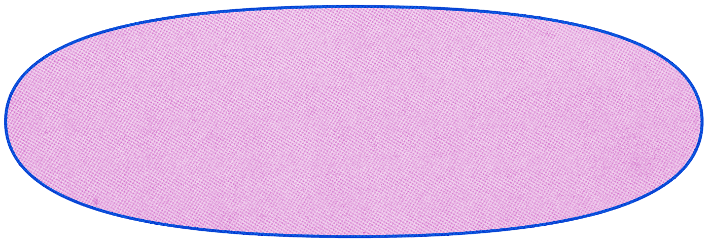 Chantha Logo Background